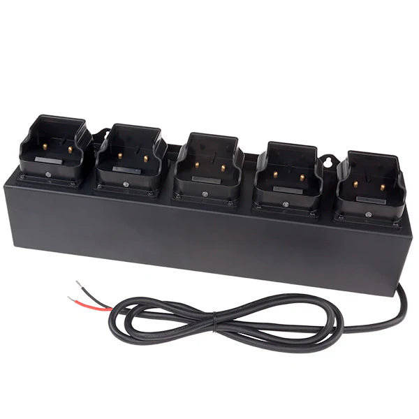 5-Bank DC Charger (12–24 V) – INTRANT Series